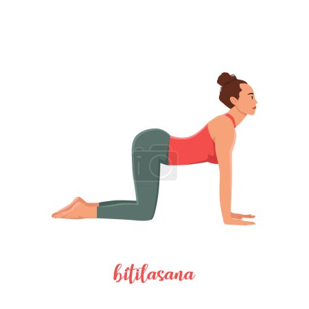 Women doing Cow yoga pose. Bitilasana. Flat vector illustration isolated on white background
