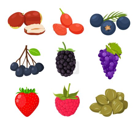 Ilustración de Vector plano de lindos colores brillantes de frutas bayas vector colecciones de iconos. Ilustración aislada sobre fondo blanco - Imagen libre de derechos