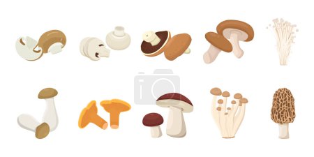 Illustration for Flat vector of cute bright colors of mushroom vector icon collections. Illustration isolated on white background - Royalty Free Image