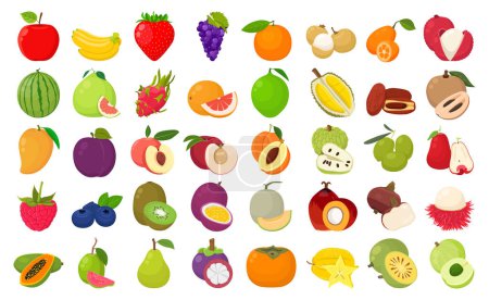 Ilustración de Vector plano de colores brillantes lindos de colecciones de vectores de frutas. Ilustración aislada sobre fondo blanco - Imagen libre de derechos