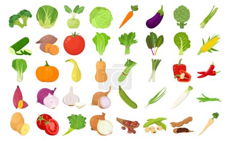 Ilustración de Vector plano de lindos colores brillantes de verduras y frijoles colecciones de iconos de vectores. Ilustración aislada sobre fondo blanco - Imagen libre de derechos