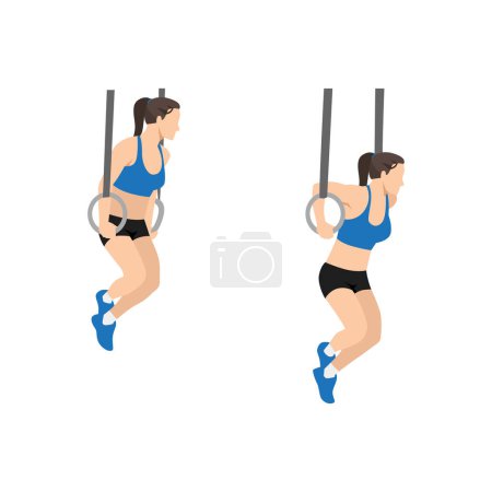 Illustration for Woman doing Gymnastic ring dips exercise. Flat vector illustration isolated on white background - Royalty Free Image