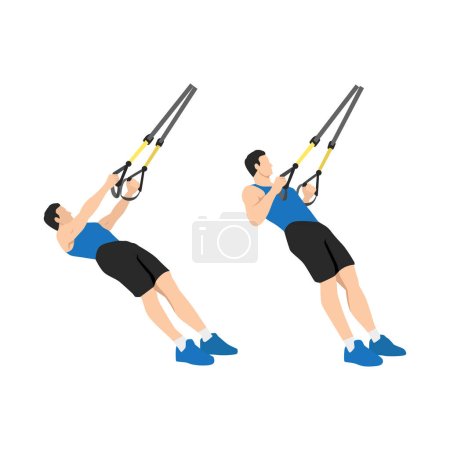Téléchargez les illustrations : Homme faisant TRX Suspension sangle rangées exercice. Illustration vectorielle plate isolée sur fond blanc - en licence libre de droit