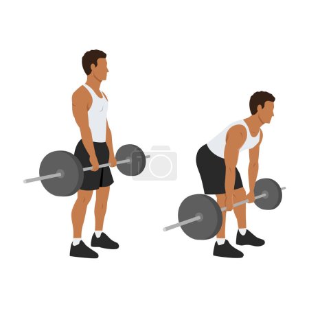 Illustration for Man doing Barbell romanian deadlifts exercise. - Royalty Free Image