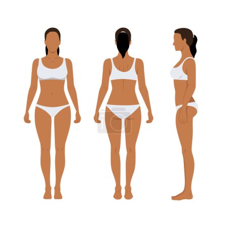 Illustration for This woman body has the center of gravity above. The waist and bust are high. The joints and below the knees are thin. She is wearing underwear. Front, Side, Rear. Flat vector illustration isolated on - Royalty Free Image