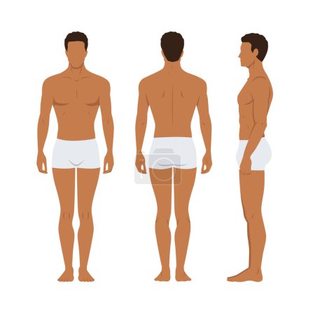 Illustration for Vector illustration of three men in underwear on the white background. Vector cartoon realistic people illustartion. Flat young man. Front view man, Side view man, Back side view man - Royalty Free Image