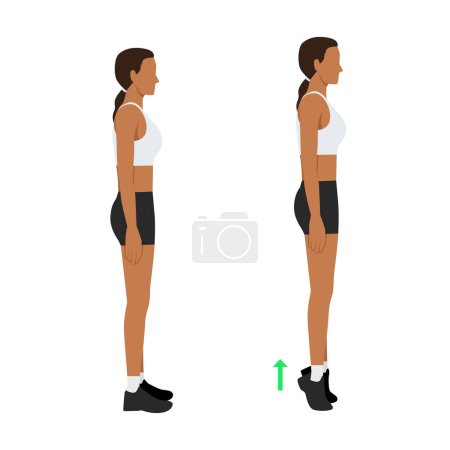 Woman doing tip toe pose move for reduce leg cellulite. Workout diagram about Calves reduction for slim leg. Flat vector illustration isolated on white background