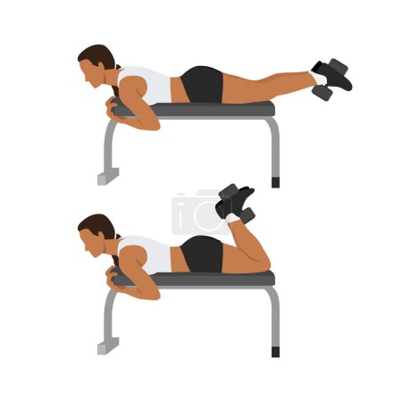 Illustration for Woman doing Dumbbell Hamstring Curl on Bench exercise. Flat vector illustration isolated on white background - Royalty Free Image