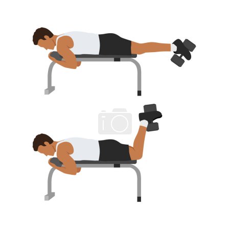 Illustration for Man doing Dumbbell Hamstring Curl on Bench exercise. Flat vector illustration isolated on white background - Royalty Free Image