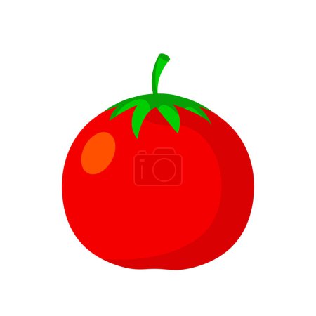 Illustration for Flat vector of Tomato isolated on white background. Flat illustration graphic icon - Royalty Free Image