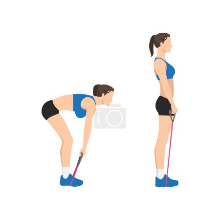 Illustration for Woman doing Resistance band deadlifts exercise. Flat vector illustration isolated on white background - Royalty Free Image
