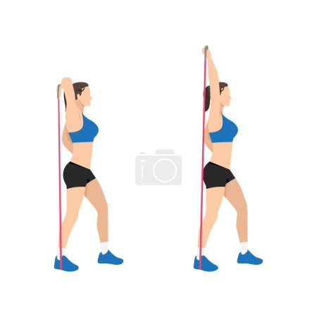 Illustration for Woman doing Resistance band tricep overhead extensions exercise. Flat vector illustration isolated on white background - Royalty Free Image