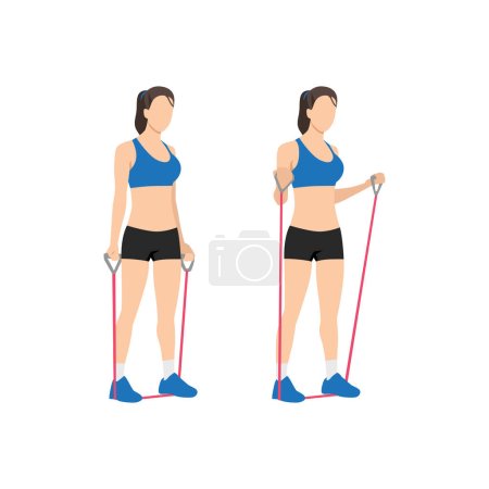 Illustration for Woman doing Resistance band bicep curls exercise. Flat vector illustration isolated on white background - Royalty Free Image