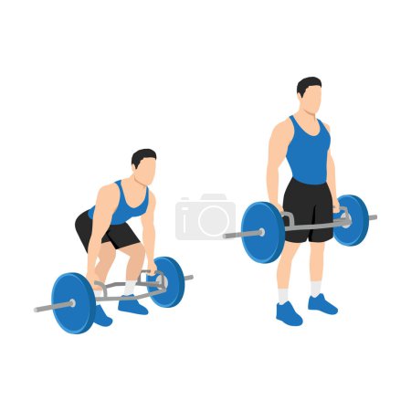 Illustration for Man doing Hex. Trap bar. Cafe deadlifts. Squats exercise. Flat vector illustration isolated on white background - Royalty Free Image