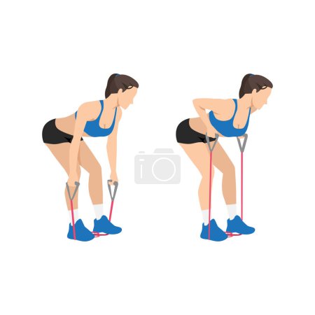 Illustration for Woman doing Resistance band bent over rows exercise. Flat vector illustration isolated on white background - Royalty Free Image