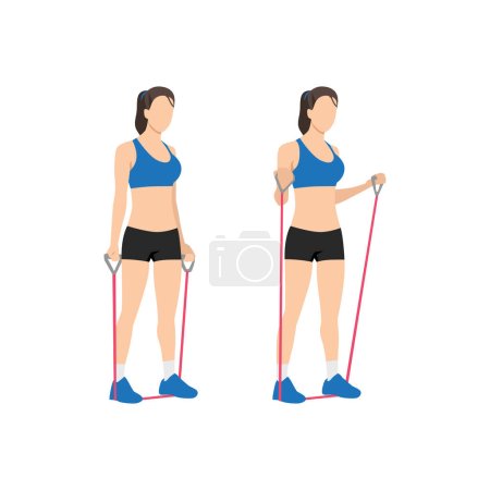 Téléchargez les illustrations : Femme faisant bande de résistance biceps boucles exercice. Illustration vectorielle plate isolée sur fond blanc - en licence libre de droit