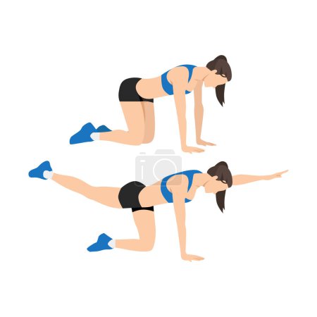 Illustration for Woman doing bird dogs. alternating reach and kickbacks exercise flat vector illustration isolated on white background - Royalty Free Image