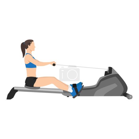 Illustration for Woman doing cardio. Rowing machine flat vector illustration isolated on white background - Royalty Free Image