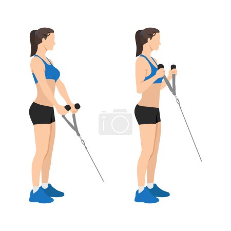 Woman doing Cable hammer bicep curls exercise. Arm workout. Flat vector illustration isolated on white background