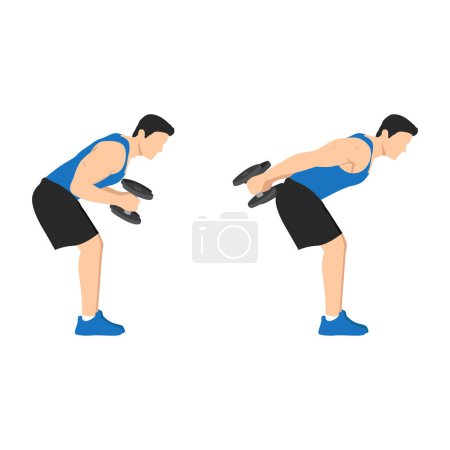 Illustration for Man doing Bent over double arm tricep kickbacks exercise. Flat vector illustration isolated on white background - Royalty Free Image