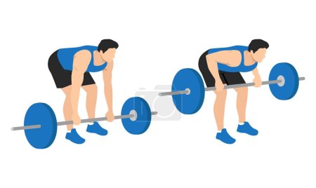 Illustration for Man doing bent-over barbell rows from floor exercise with barbell in a minimalistic style. Flat vector illustration isolated on white background - Royalty Free Image