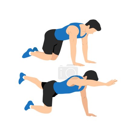 Illustration for Man doing bird dog exercise, Alternating reach and kickbacks. Posture for six pack. Flat vector illustration isolated on white background - Royalty Free Image