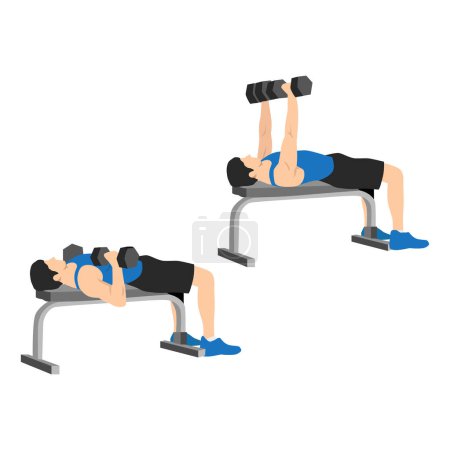 Man doing dumbbell flat bench press. Chest exercise. Flat vector illustration isolated on white background