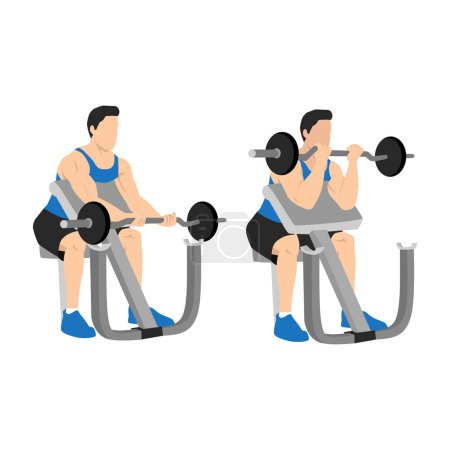Illustration for Man lifting barbell in a gym on EZ bar preacher curl, making biceps exercise. isolated on white background and layers. Workout character - Royalty Free Image