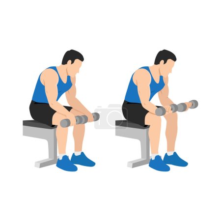Illustration for Man doing seated dumbbell palm down wrist curls or forearm curls exercise. Flat vector illustration isolated on white background - Royalty Free Image