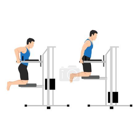 Illustration for Man doing dips on parallel bars in the gym exercise. Flat vector illustration isolated on white background - Royalty Free Image