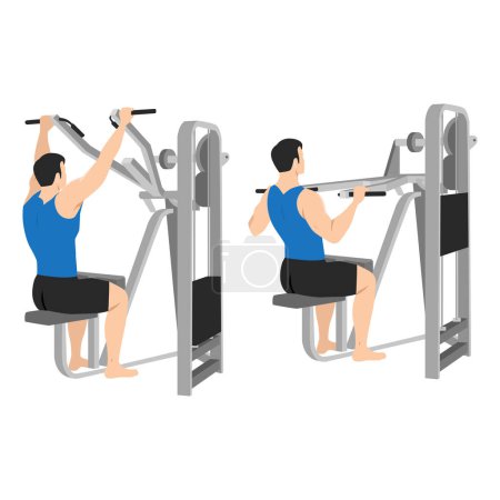 Illustration for Man doing lever front pulldown, lat machine pull down. Flat vector illustration isolated on white background - Royalty Free Image