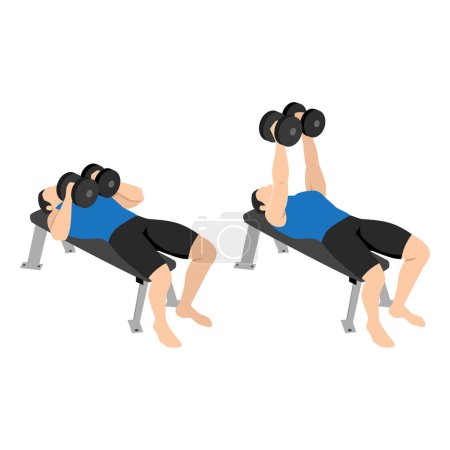 Illustration for Man doing laying dumbbell svend press exercise. Flat vector illustration isolated on white background - Royalty Free Image