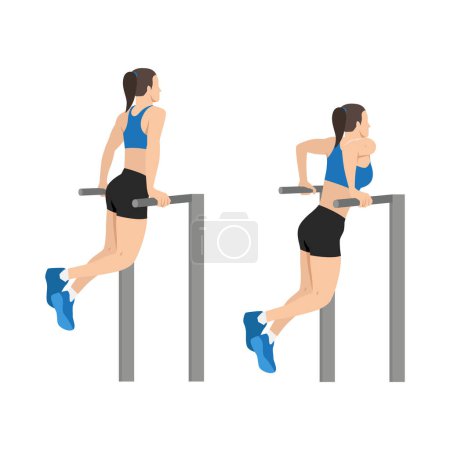 Illustration for Woman doing tricep dip exercise. Flat vector illustration isolated on white background - Royalty Free Image