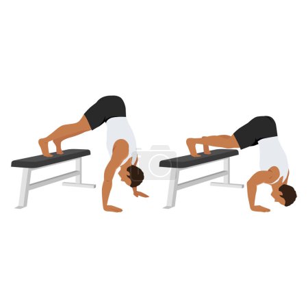 Illustration for Man doing bench Pike push up exercise. Flat vector illustration isolated on white background - Royalty Free Image