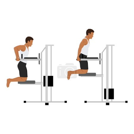 Illustration for Man doing dips on parallel bars in the gym exercise. Flat vector illustration isolated on white background - Royalty Free Image