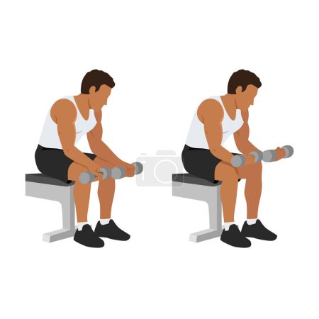 Man doing seated dumbbell palm up wrist curls or forearm curls. Flat vector illustration isolated on white background