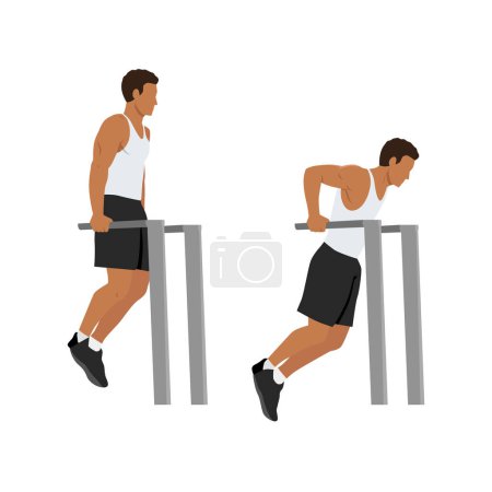 Illustration for Man doing trice dip exercise. Flat vector illustration isolated on white background - Royalty Free Image