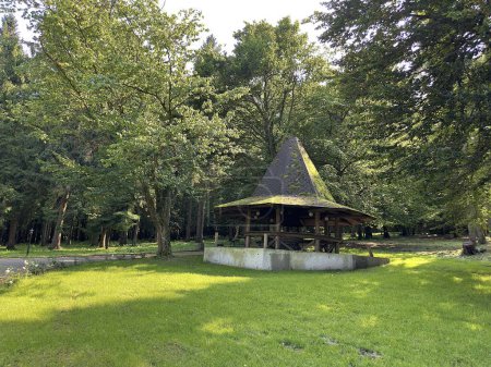 Ein hölzerner brauner Pavillon in Hutform mit einem mit grünem Moos bewachsenen Dach auf einem Hügel inmitten von Bäumen und einer grünen Wiese in einem Park in Bayern. Ein kleines Haus inmitten einer Wiese in Bayern
