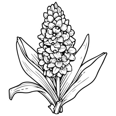 Illustration for Vector hand drawn sketch. flowers, buds, leaves. isolated on white background. - Royalty Free Image