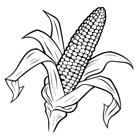 Illustration for Hand drawn doodle of a corn. vector illustration. - Royalty Free Image