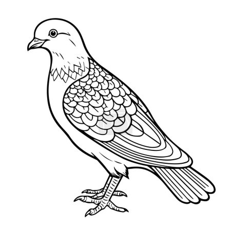 Illustration for Coloring book with a cute bird. - Royalty Free Image
