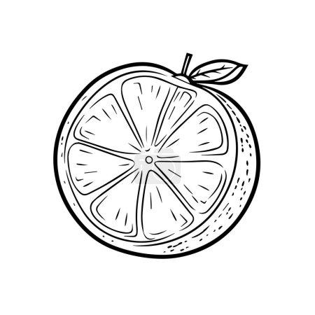 Illustration for Vector sketch of a lemon. vector illustration - Royalty Free Image