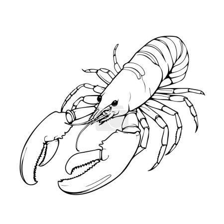 Téléchargez les illustrations : Illustration vectorielle de crevettes isolées - en licence libre de droit