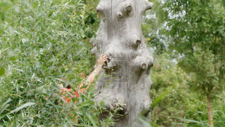 Téléchargez les photos : Main d'enfant sur le vieux tronc d'arbre - en image libre de droit