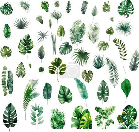 Conjunto de siluetas de diferentes hojas, acuarela. Ilustración vectorial