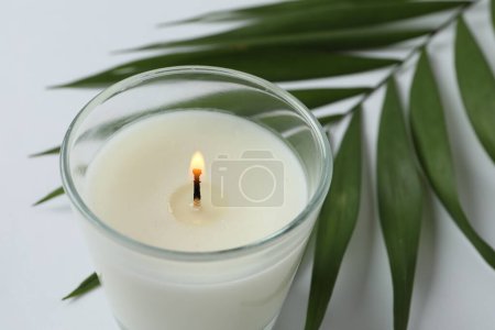 Photo for Candle and green leaf - Royalty Free Image