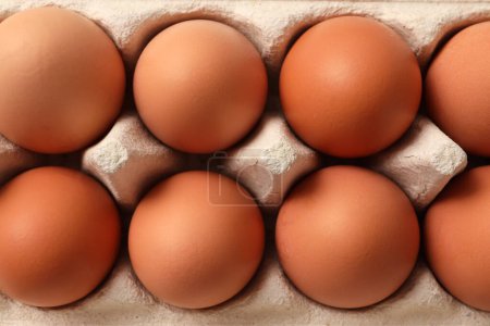 Photo for Chicken eggs in cardboard box - Royalty Free Image