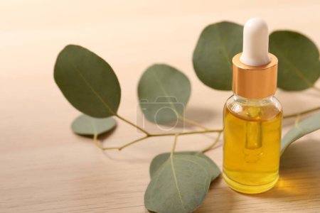 Téléchargez les photos : Bottle of essential oil and eucalyptus leaves on wooden table - en image libre de droit