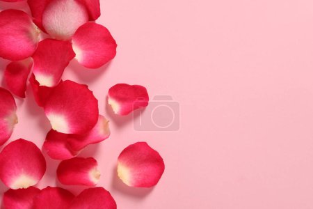 Téléchargez les photos : Belle rose rose sur fond de couleur avec espace pour le texte - en image libre de droit