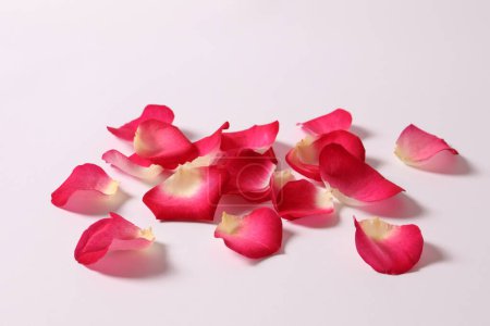 Photo for Rose petals on white background - Royalty Free Image